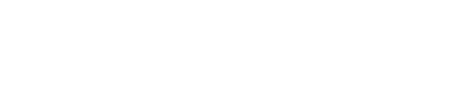 WiseUp Texas